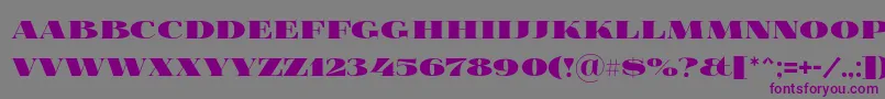 Foglihtenblackpcs Font – Purple Fonts on Gray Background