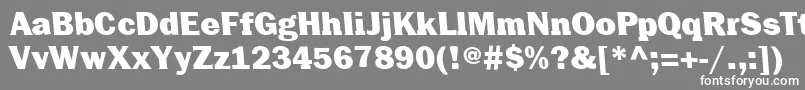 フォントCenturiquaUltra – 灰色の背景に白い文字