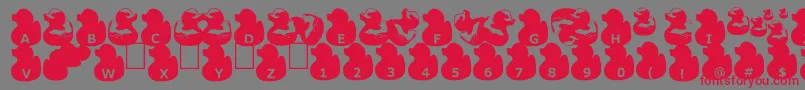 GugliDuckyRubber Font – Red Fonts on Gray Background