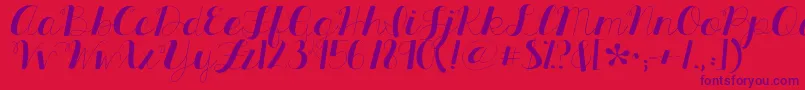 fuente Kgallthingsnew – Fuentes Moradas Sobre Fondo Rojo
