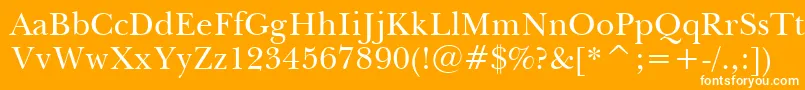 フォントBaskervilleWin95bt – オレンジの背景に白い文字