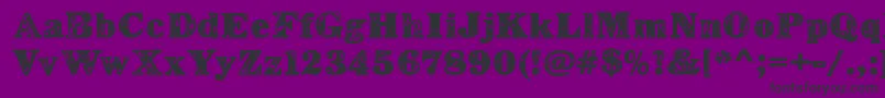 LerkuRegular Font – Black Fonts on Purple Background