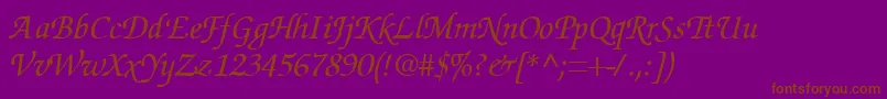 Шрифт SuggardbItalic – коричневые шрифты на фиолетовом фоне