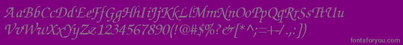 フォントSuggardbItalic – 紫の背景に灰色の文字