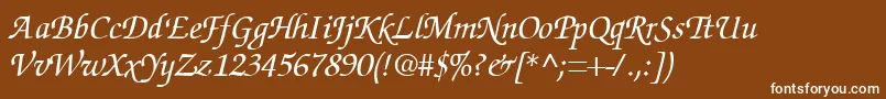 SuggardbItalic-fontti – valkoiset fontit ruskealla taustalla