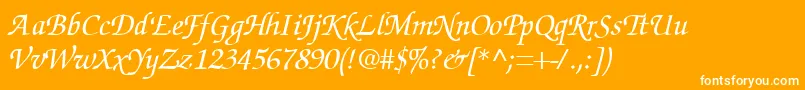 SuggardbItalic Font – White Fonts on Orange Background