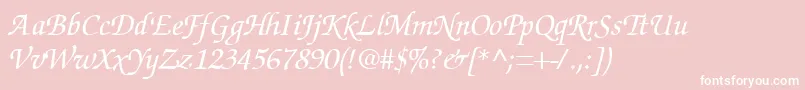 フォントSuggardbItalic – ピンクの背景に白い文字