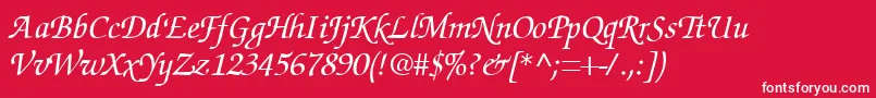 SuggardbItalic Font – White Fonts on Red Background