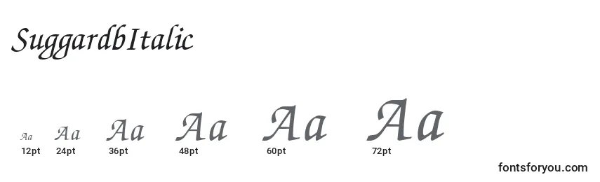Размеры шрифта SuggardbItalic