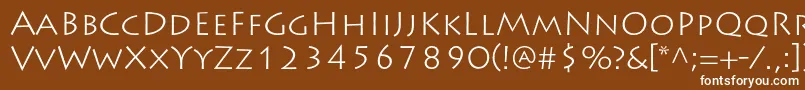 LithosproLight-Schriftart – Weiße Schriften auf braunem Hintergrund