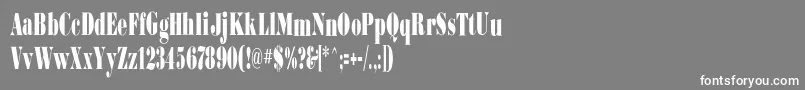 フォントBodoniultraflfcond – 灰色の背景に白い文字