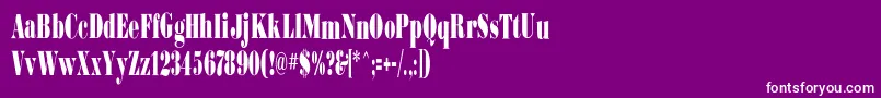 Bodoniultraflfcond Font – White Fonts on Purple Background