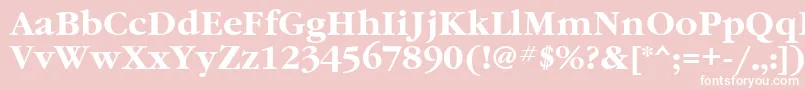 フォントGaramondgttBold – ピンクの背景に白い文字