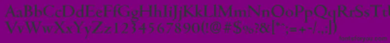 CambridgeserialMediumRegular Font – Black Fonts on Purple Background