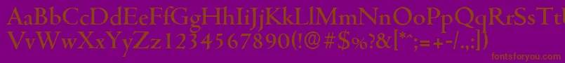 CambridgeserialMediumRegular Font – Brown Fonts on Purple Background