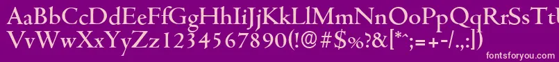 CambridgeserialMediumRegular-Schriftart – Rosa Schriften auf violettem Hintergrund