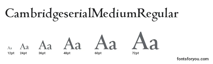 Размеры шрифта CambridgeserialMediumRegular