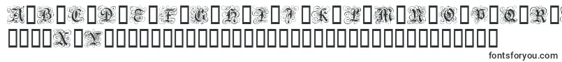 Шрифт GothicFlourish – шрифты для гербов
