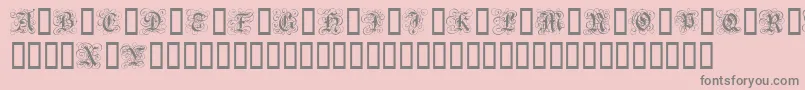 GothicFlourish Font – Gray Fonts on Pink Background