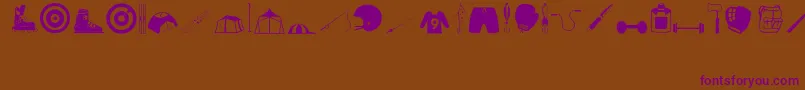 SportsHobbiesRegular Font – Purple Fonts on Brown Background