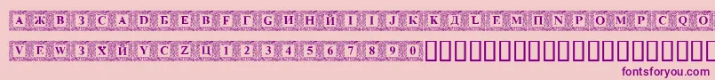Dsinn Font – Purple Fonts on Pink Background