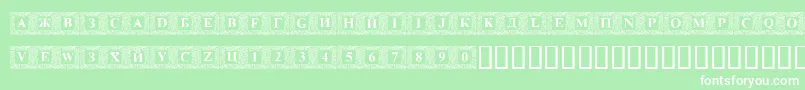 Dsinn Font – White Fonts on Green Background