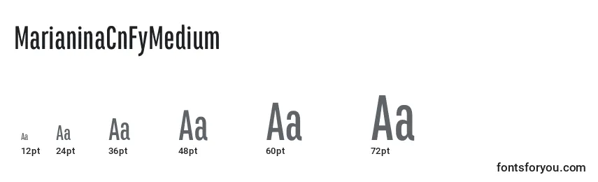 Размеры шрифта MarianinaCnFyMedium