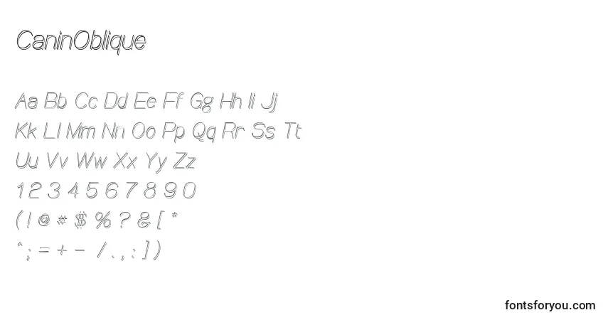 Czcionka CaninOblique – alfabet, cyfry, specjalne znaki