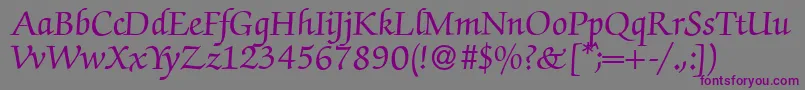Шрифт ZabriskiescriptBold – фиолетовые шрифты на сером фоне