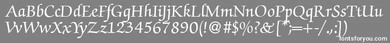 フォントZabriskiescriptBold – 灰色の背景に白い文字