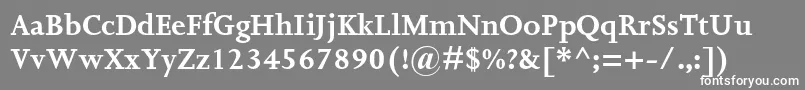 JoannamtstdBold Font – White Fonts on Gray Background