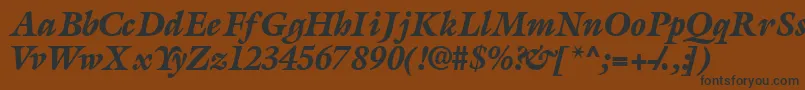 フォントAcanthusblacksskItalic – 黒い文字が茶色の背景にあります