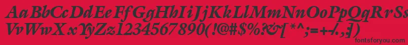 AcanthusblacksskItalic Font – Black Fonts on Red Background