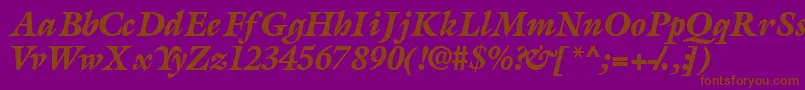 AcanthusblacksskItalic Font – Brown Fonts on Purple Background