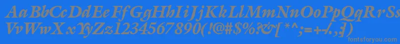 AcanthusblacksskItalic Font – Gray Fonts on Blue Background