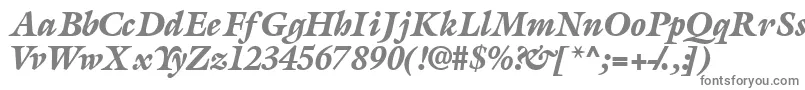 AcanthusblacksskItalic Font – Gray Fonts on White Background