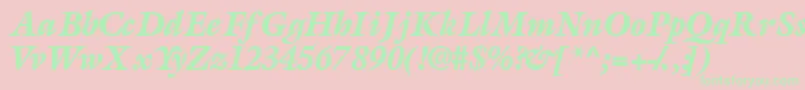 AcanthusblacksskItalic Font – Green Fonts on Pink Background