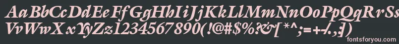 AcanthusblacksskItalic Font – Pink Fonts on Black Background