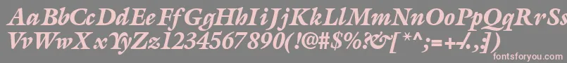 AcanthusblacksskItalic Font – Pink Fonts on Gray Background