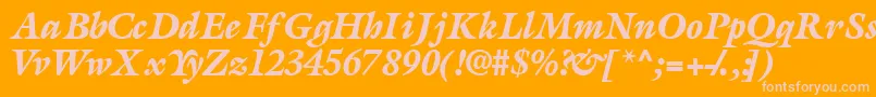 AcanthusblacksskItalic Font – Pink Fonts on Orange Background