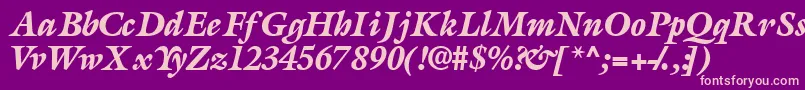 AcanthusblacksskItalic Font – Pink Fonts on Purple Background