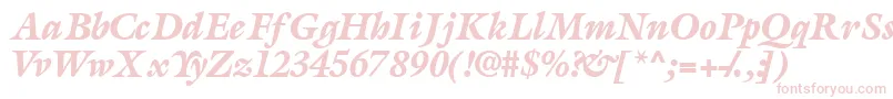 AcanthusblacksskItalic Font – Pink Fonts on White Background