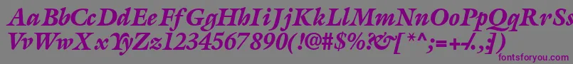 AcanthusblacksskItalic Font – Purple Fonts on Gray Background