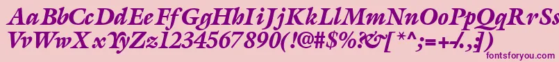 AcanthusblacksskItalic Font – Purple Fonts on Pink Background