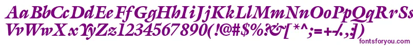 AcanthusblacksskItalic Font – Purple Fonts