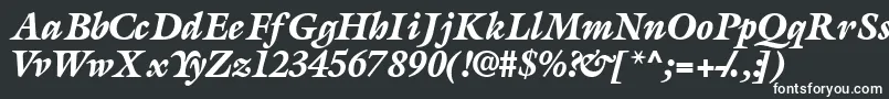 AcanthusblacksskItalic-Schriftart – Weiße Schriften