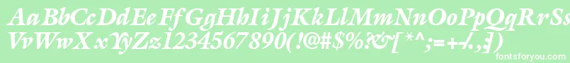 AcanthusblacksskItalic Font – White Fonts on Green Background