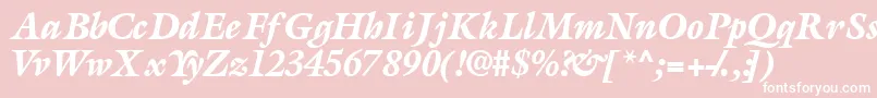 AcanthusblacksskItalic Font – White Fonts on Pink Background