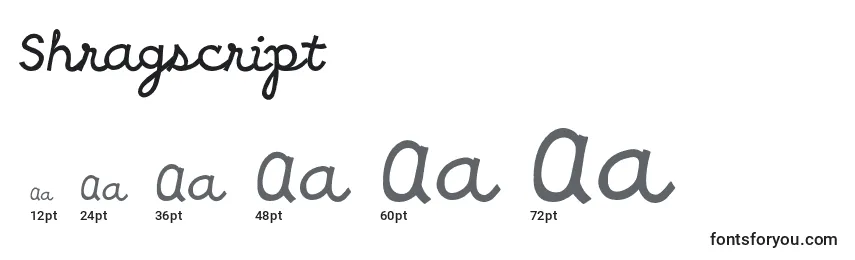 Shragscript Font Sizes