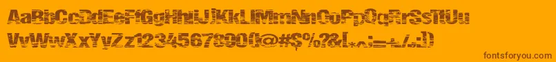 Summerfestival-Schriftart – Braune Schriften auf orangefarbenem Hintergrund